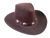 The Brown Razorback Hat